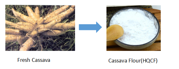 Macchina per la farina di manioca