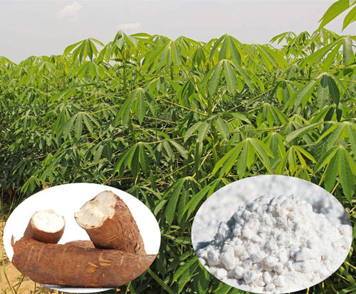 20t/d linea di produzione della farina di manioca settled in Africa