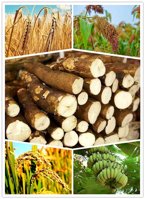 20t/d linea di produzione di farina di manioca stabilita in Africa