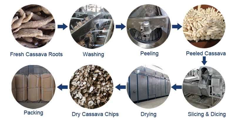 Processo di produzione di trucioli di manioca