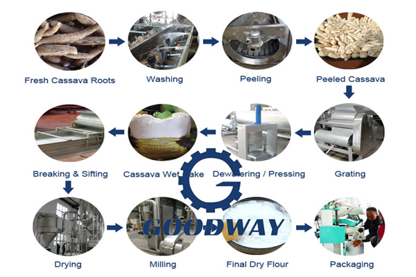 preparatory work for cassava flour processing plant