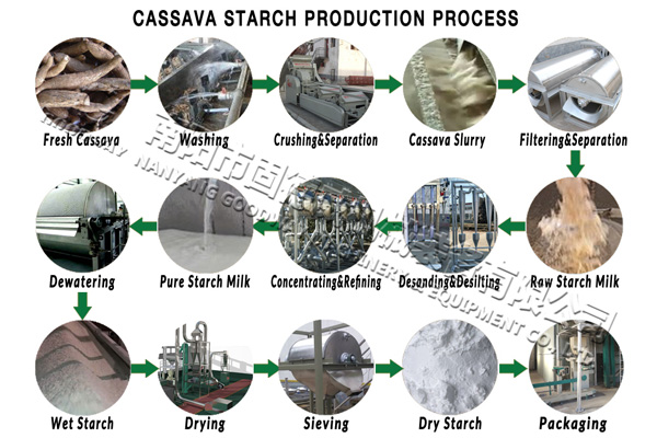 processo di produzione di amido di manioca