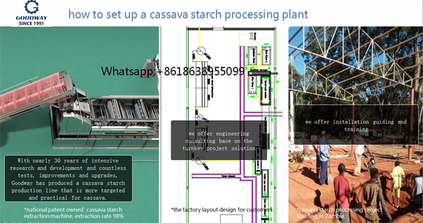 How to Set Up a Cassava Starch Processing Plant