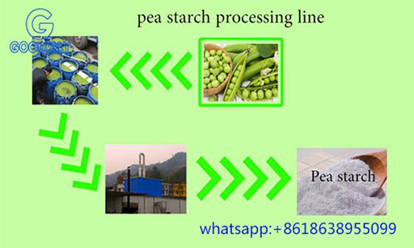 Pea Starch Processing Line