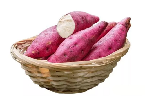 What Equipment Should Be Included in the Whole Producting Line of Sweet Potato Starch?