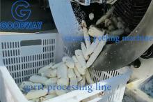 Peeling per manioca e lavatrice