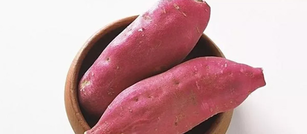 Stick to These Four Points for High Yield in Peak Period of Growth of Sweet Potatoes