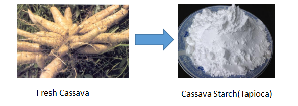 Macchina per la lavorazione dell'amido di manioca (tapioca)