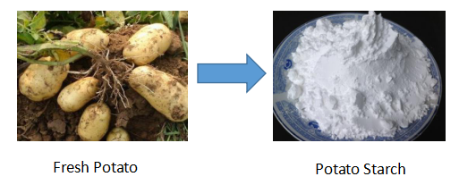 Macchina per la produzione di fecola di patate