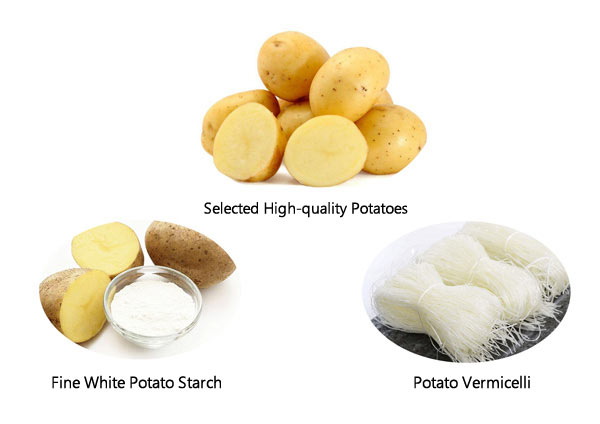 Linea di produzione di fecola di patate