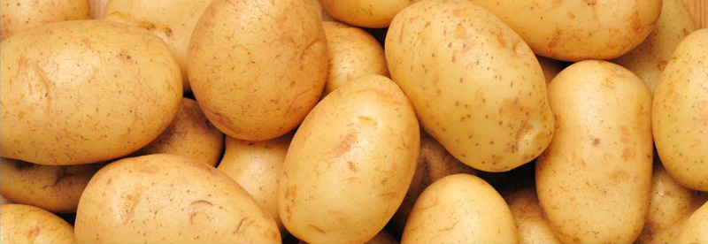 Linea di produzione di fecola di patate semplice Goodway