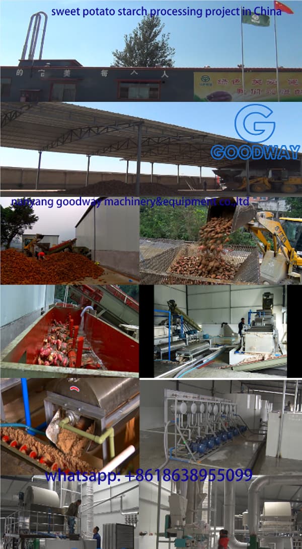 Progetto di lavorazione della fecola di patate dolci in Cina