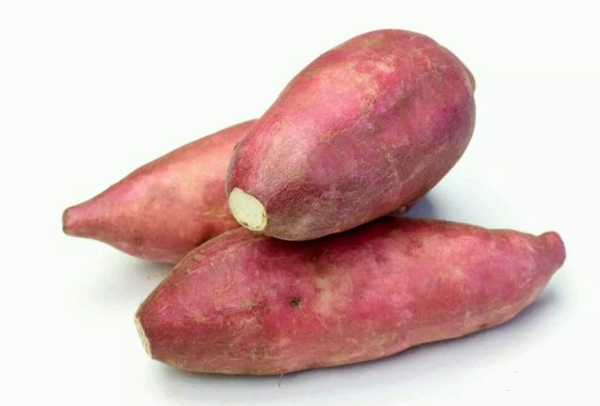 Cosa serve preparati per allestire una pianta di amido di patate dolci