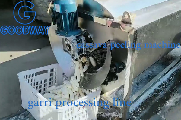 cassava-peeling-machine-1.jpg