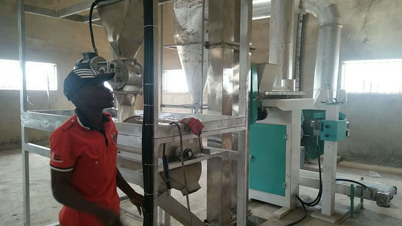 Quali sono gli input di costo per l'impostazione Installazione di un impianto di lavorazione dell'amido di manioca con amido